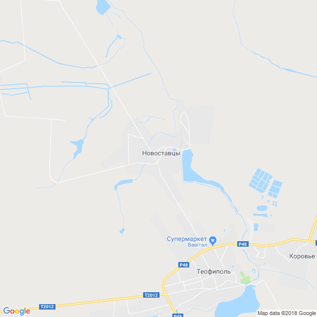 карта Новоставцы