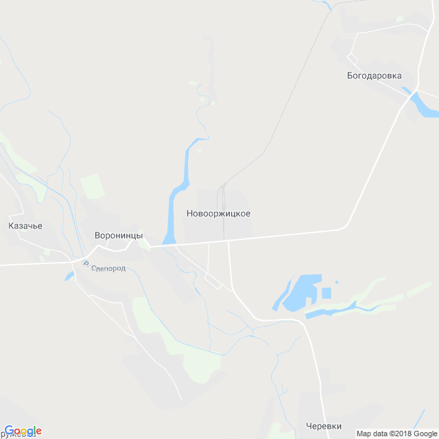 карта Новооржицкое