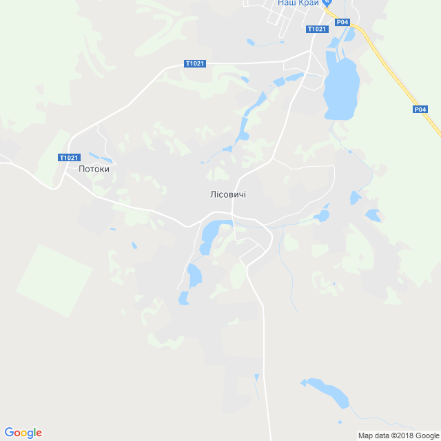 карта Лісовичі