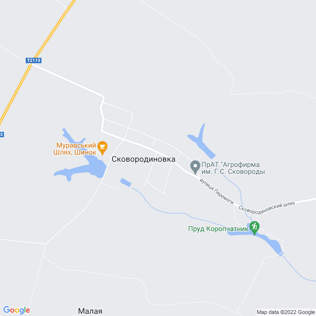 карта Сковородиновка