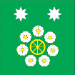 Флаг села Хажин