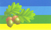 Флаг села Гатное