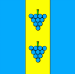 Флаг села Сторона