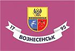 Прапор міста Вознесенськ