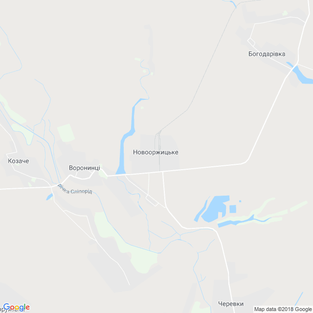 карта Новооржицьке