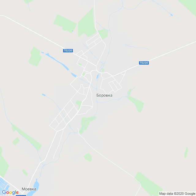карта Боровка