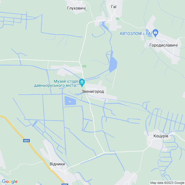 карта Звенигород